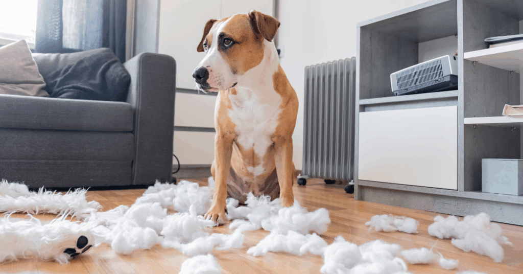 Sinais de estresse em cachorros