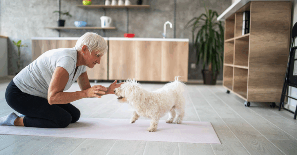 exercícios para cães em apartamento