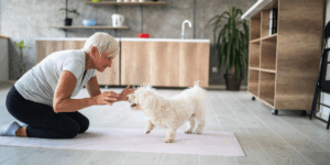 exercícios para cães em apartamento