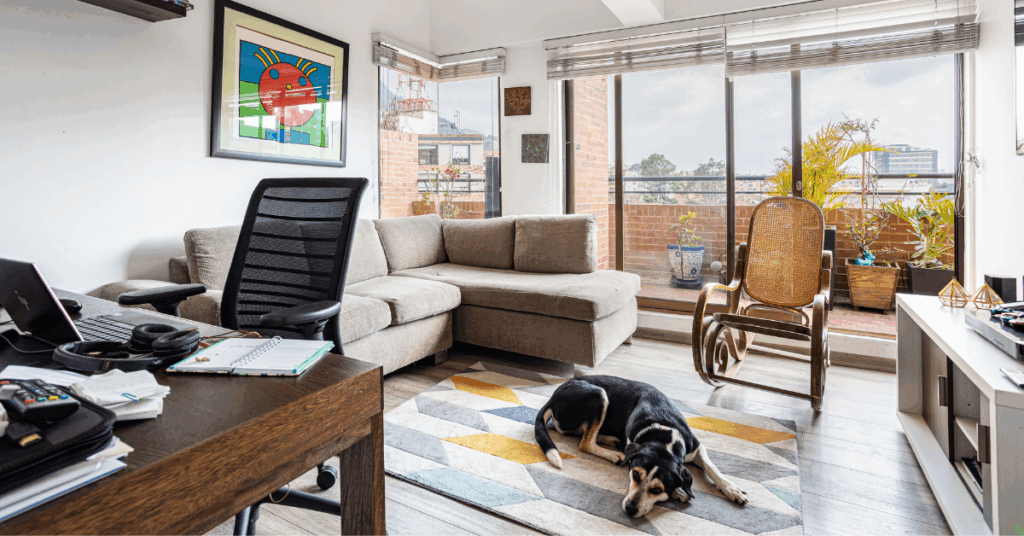 organizar espaço pet em apartamento