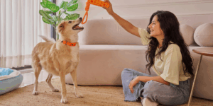 dicas para pet em apartamento